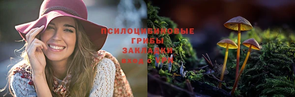 а пвп мука Верея