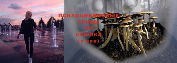 а пвп мука Верея